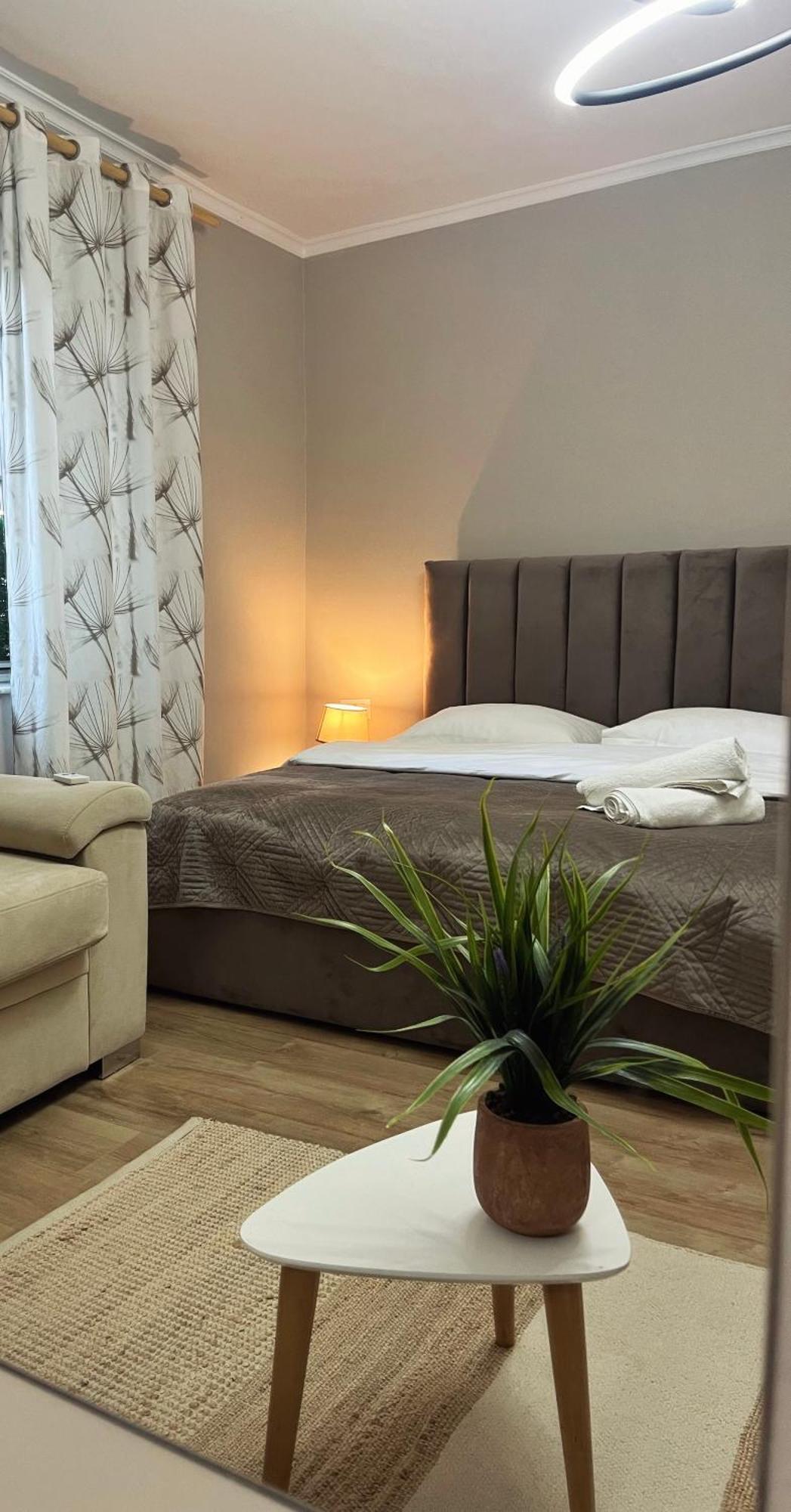 New Bazaar Cane Apartment 2 تيرانا المظهر الخارجي الصورة
